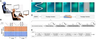 Investigating multilevel cognitive processing within error-free and error-prone feedback conditions in executed and observed car driving